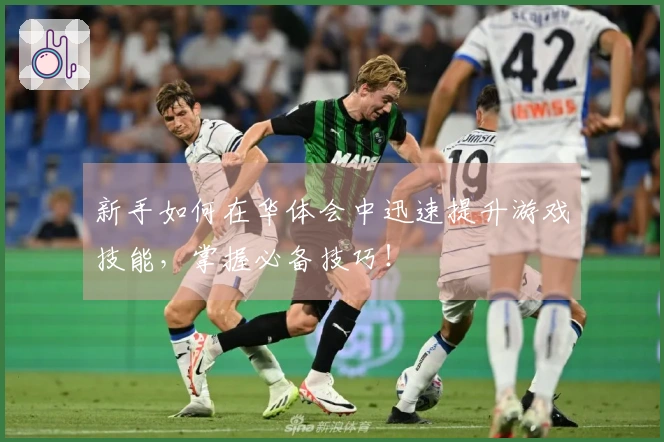 新手如何在华体会中迅速提升游戏技能，掌握必备技巧！